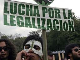 Petición de apoyo a la legalización controlada de marihuana en Uruguay